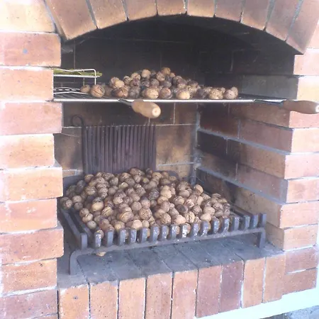 Сasa de vacaciones Vakantieboerderij Bij De Heilige Koe Staňkov